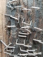 Telephone pole staples