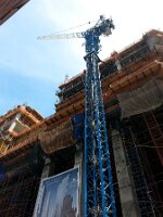 Crane  