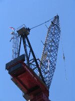 Crane