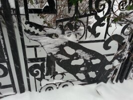 El Sol Brilliante, Sr. (12th betw. A and B) [2]