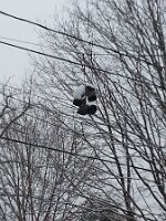 2014-02-15 15.57.41