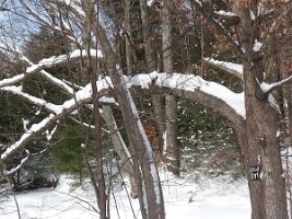 2014-02-16 10.37.26