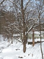 2014-02-16 10.51.37-1