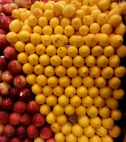 Whole Foods Union Square)